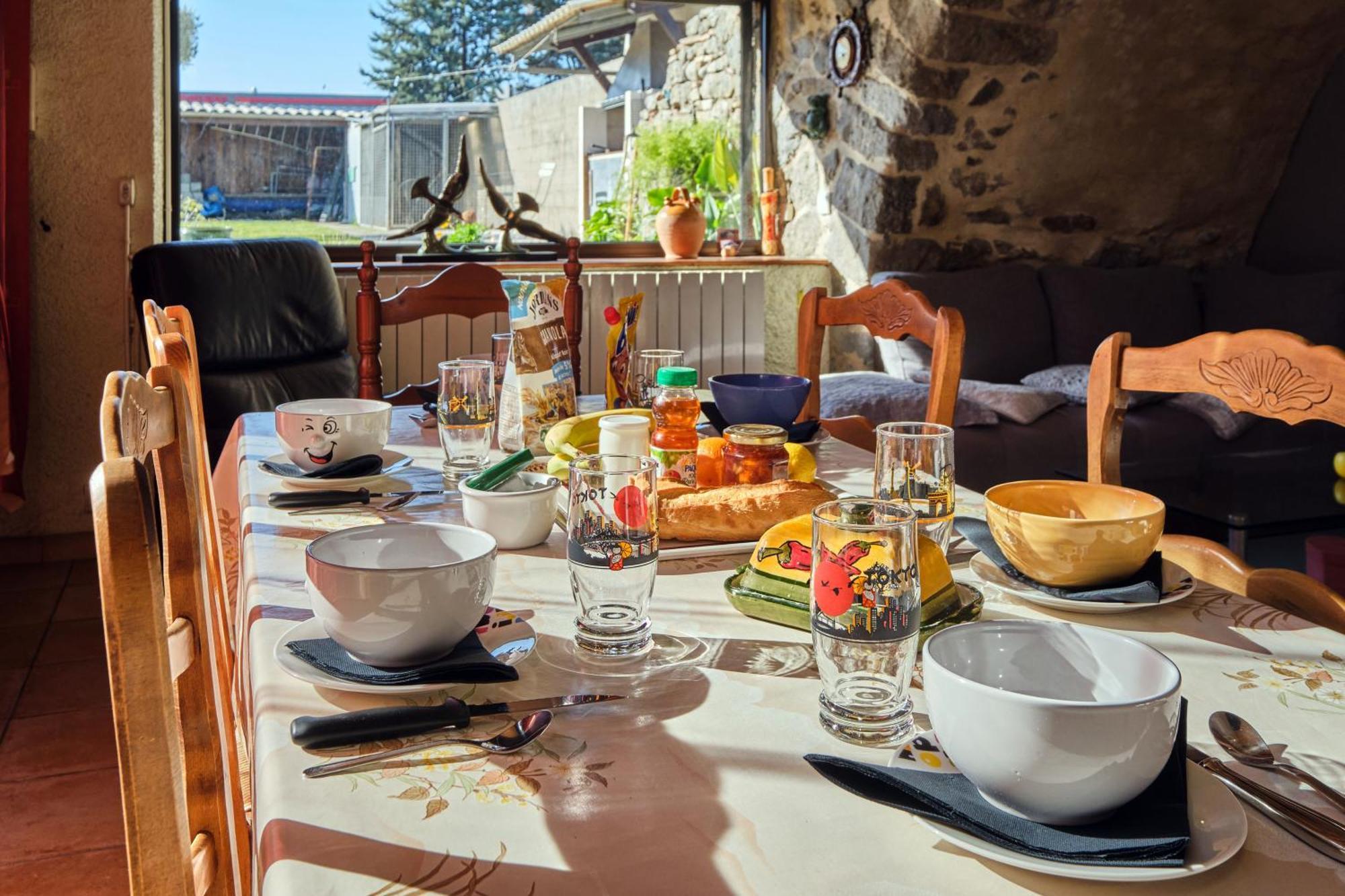Jardin Ste Anne Appartement Carcassonne